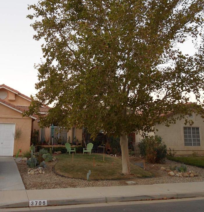 Sun Up Till Sun Down Landscaping - Rosamond, CA