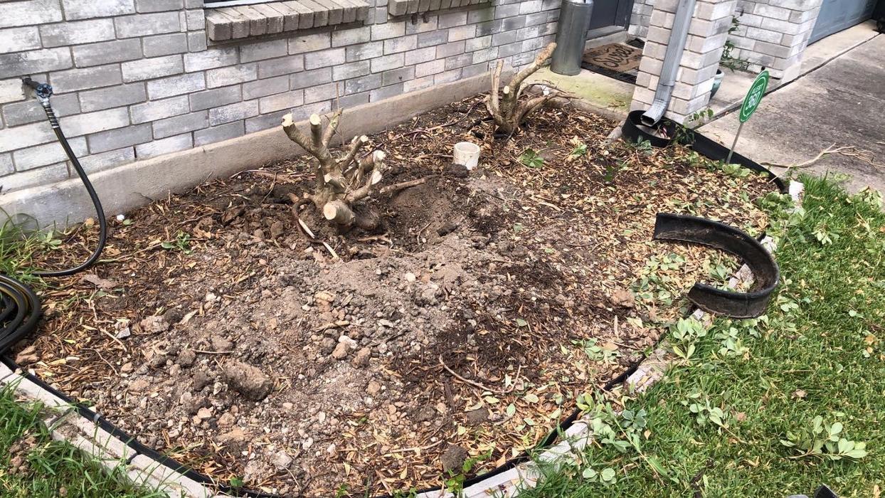 Jay Does It All - San Antonio, TX