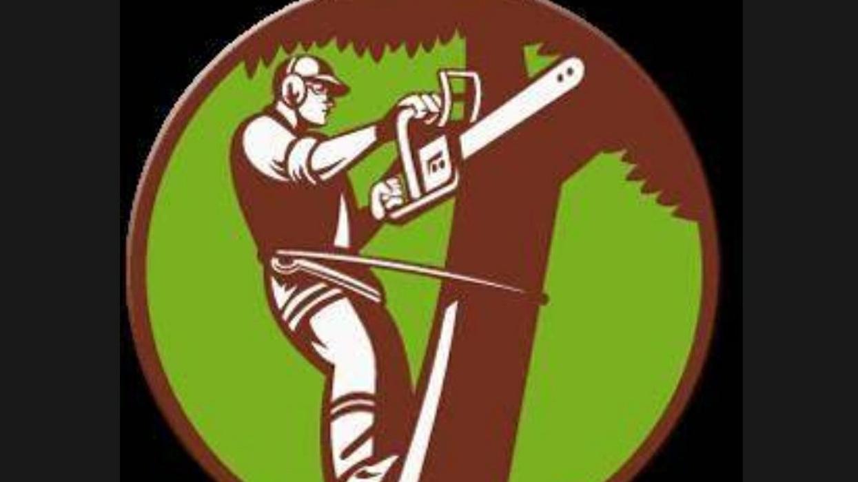 H&M Tree Service LLC - Chanhassen, MN