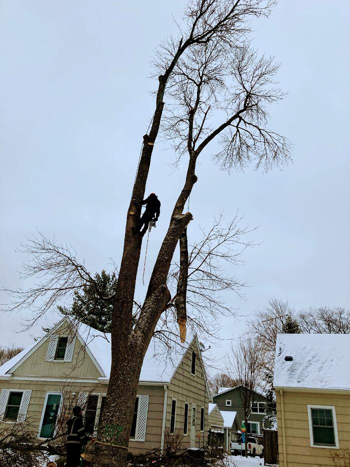 H&M Tree Service LLC - Chanhassen, MN