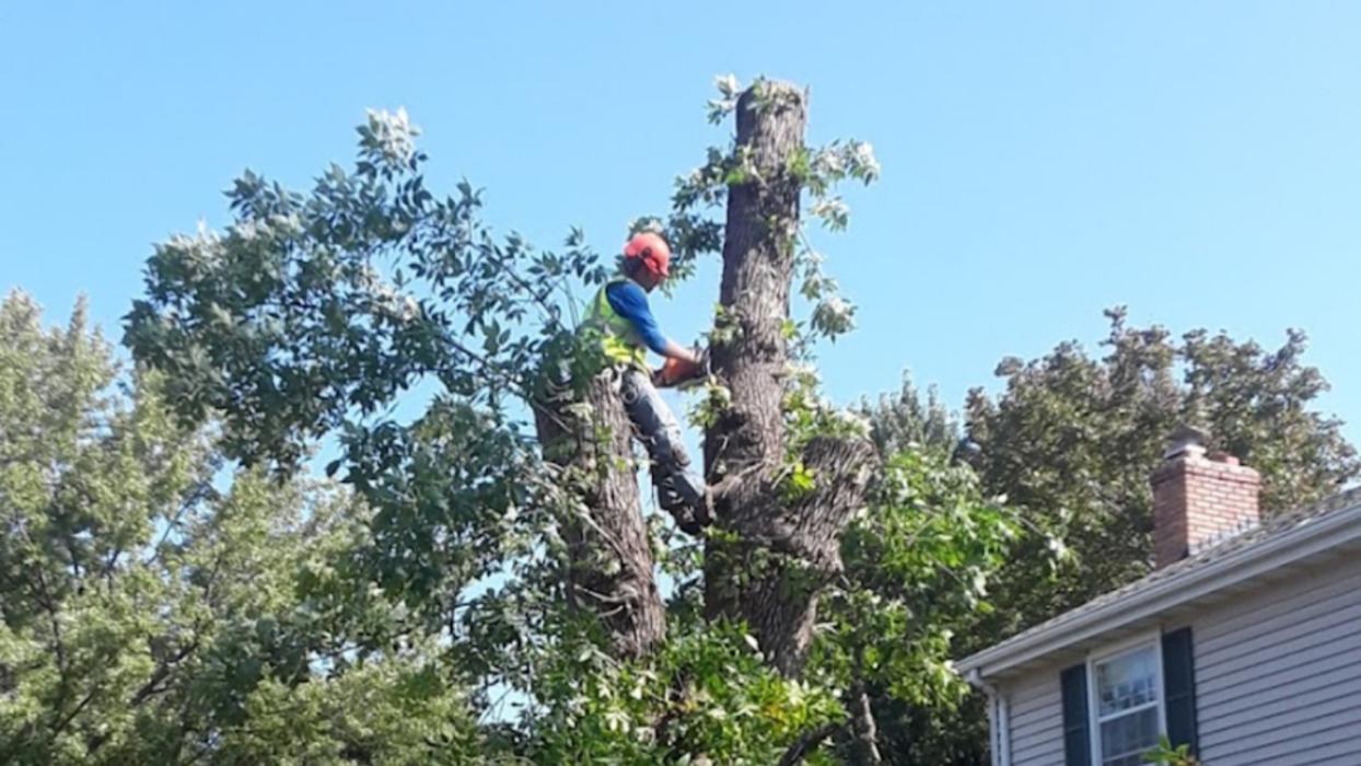 H&M Tree Service LLC - Chanhassen, MN