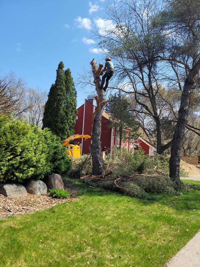 H&M Tree Service LLC - Chanhassen, MN