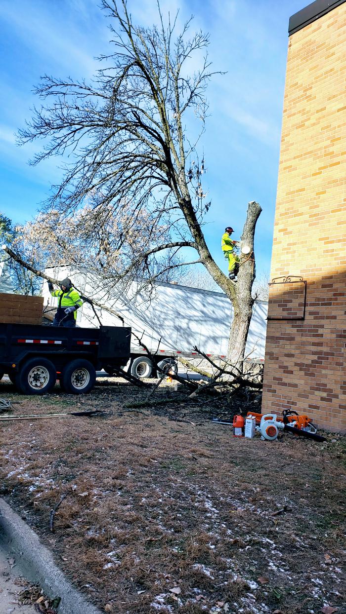 H&M Tree Service LLC - Chanhassen, MN