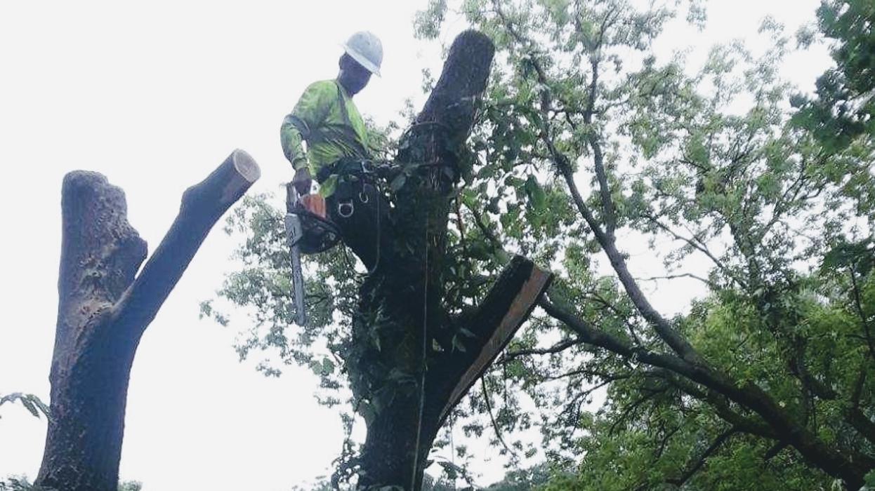 H&M Tree Service LLC - Chanhassen, MN