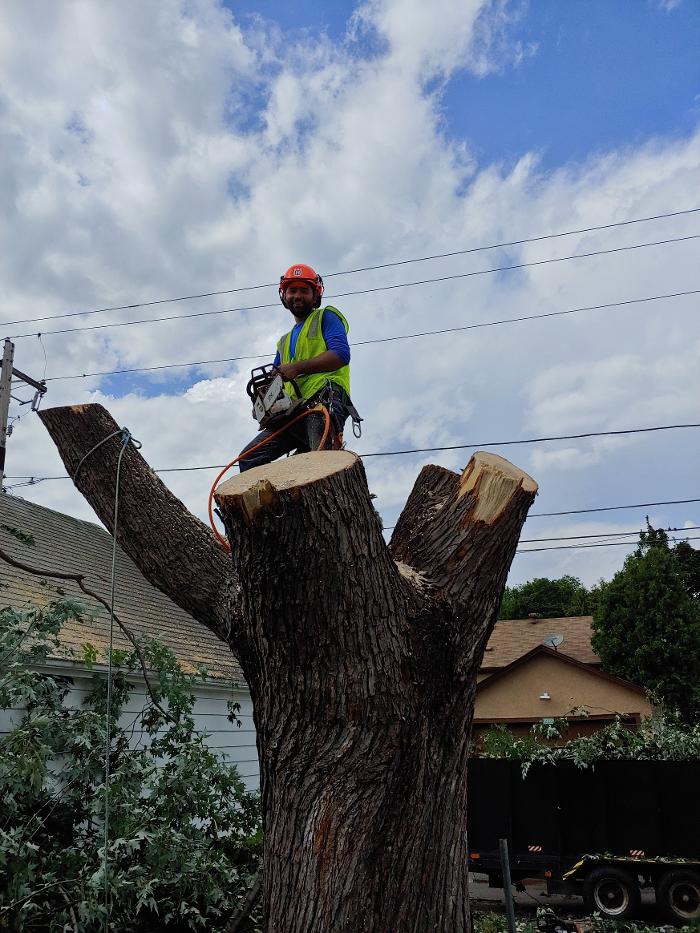 H&M Tree Service LLC - Chanhassen, MN