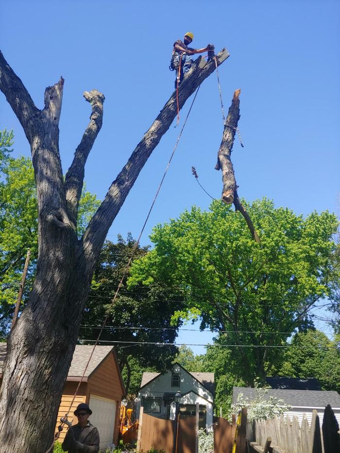 H&M Tree Service LLC - Chanhassen, MN