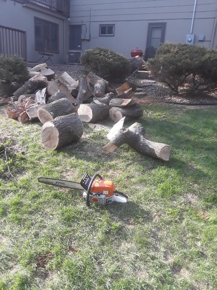 H&M Tree Service LLC - Chanhassen, MN