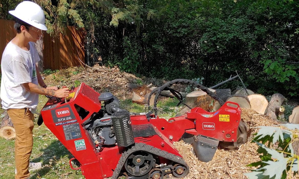H&M Tree Service LLC - Chanhassen, MN