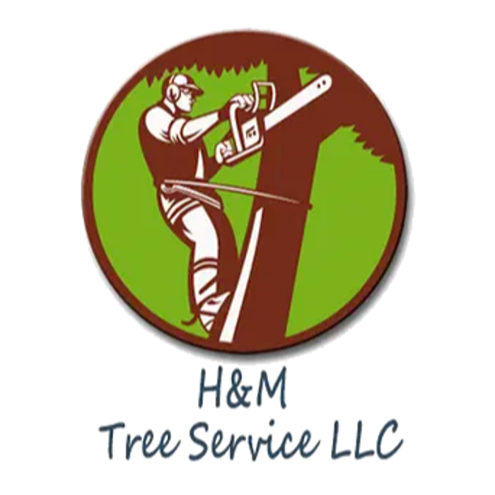 H&M Tree Service LLC - Chanhassen, MN