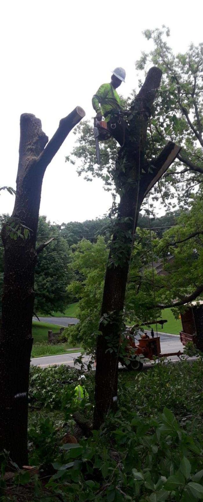 H&M Tree Service LLC - Chanhassen, MN