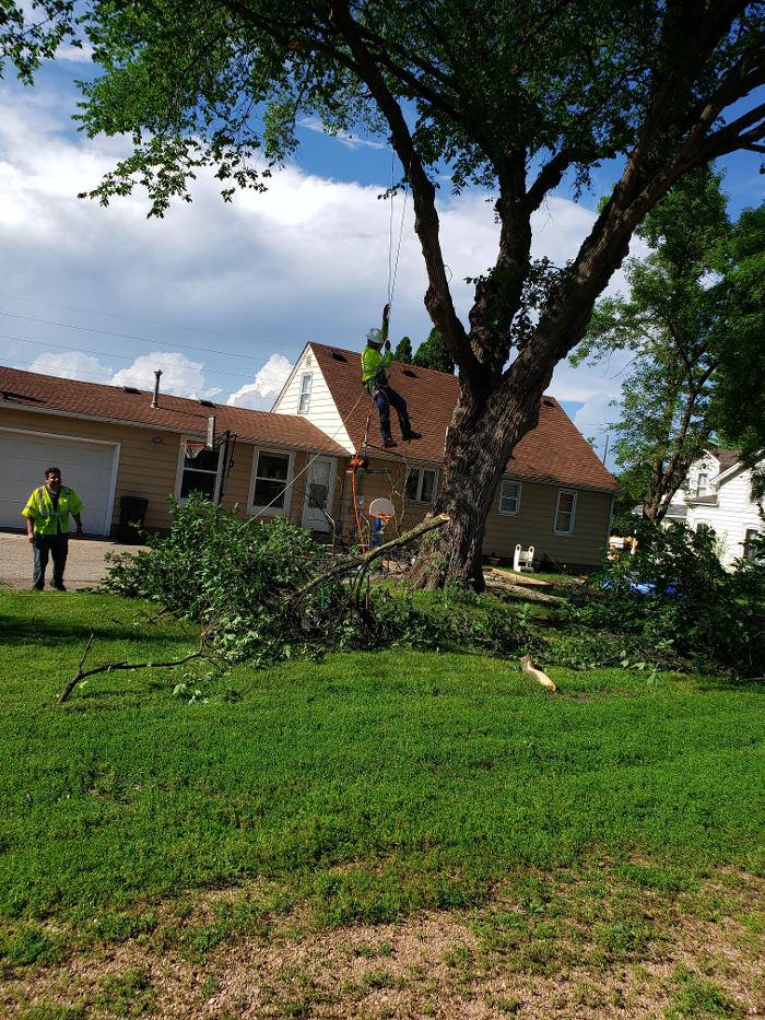 H&M Tree Service LLC - Chanhassen, MN
