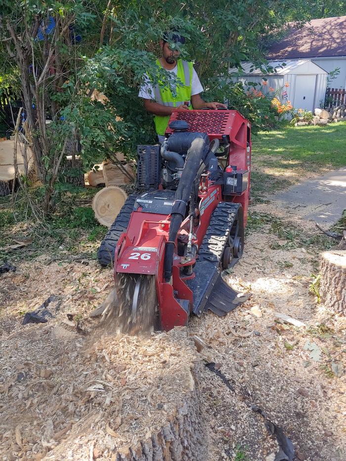 H&M Tree Service LLC - Chanhassen, MN