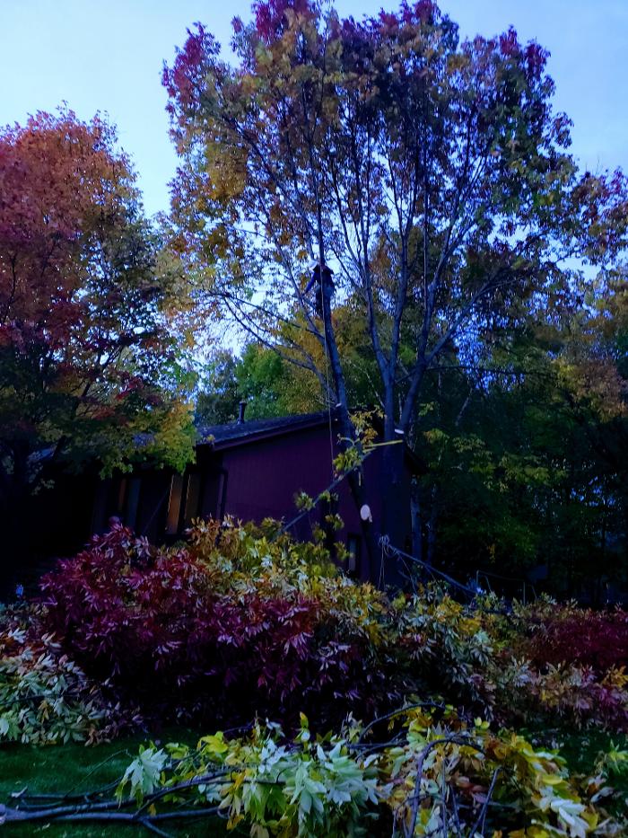 H&M Tree Service LLC - Chanhassen, MN