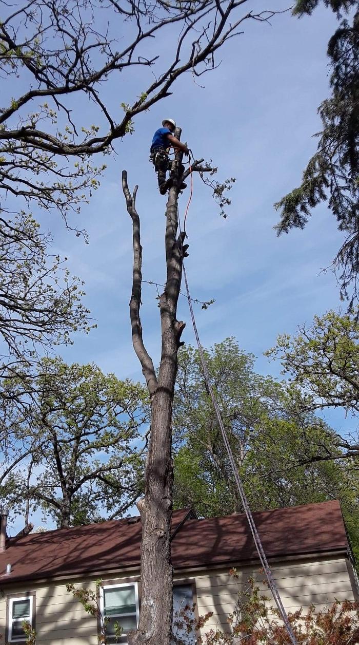 H&M Tree Service LLC - Chanhassen, MN