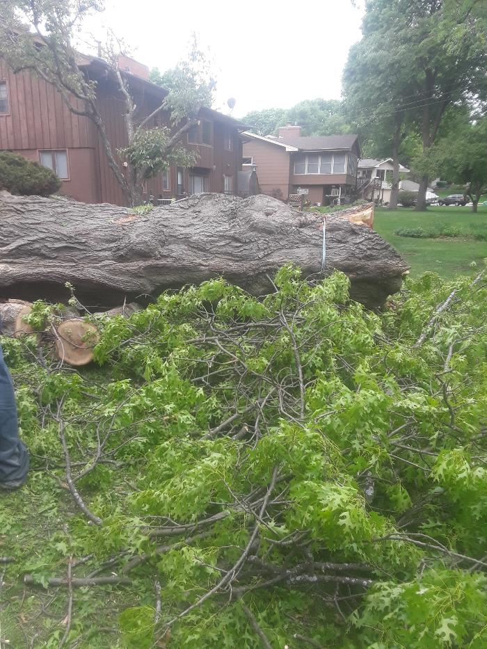 H&M Tree Service LLC - Chanhassen, MN