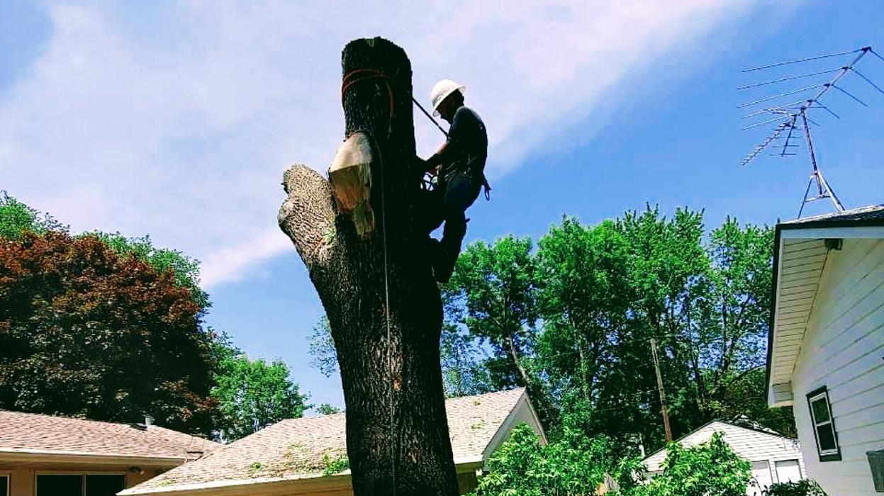 H&M Tree Service LLC - Chanhassen, MN