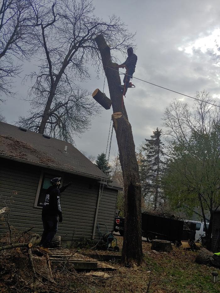 H&M Tree Service LLC - Chanhassen, MN