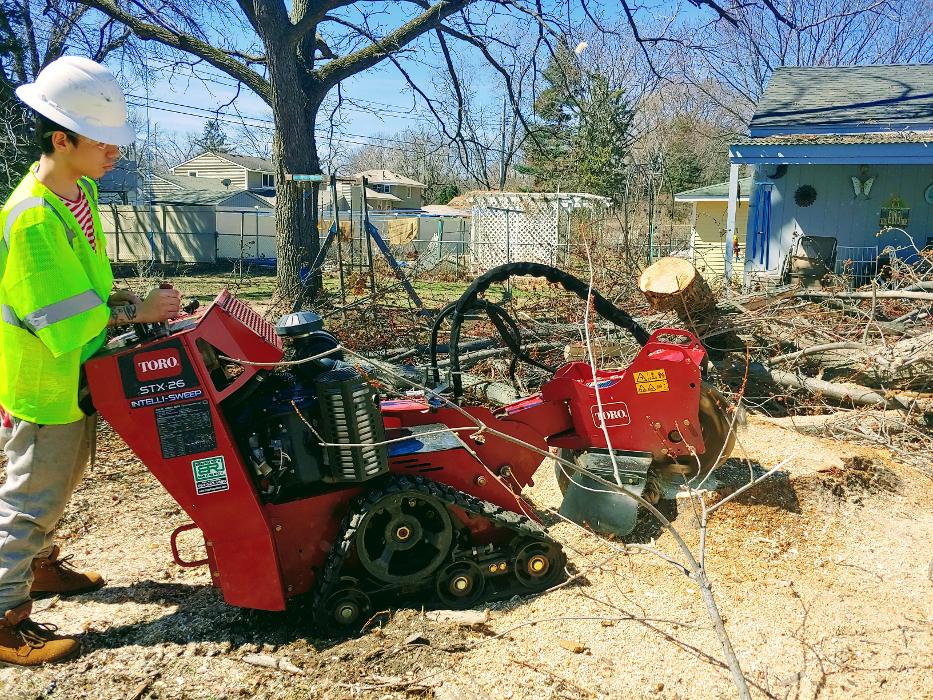 H&M Tree Service LLC - Chanhassen, MN