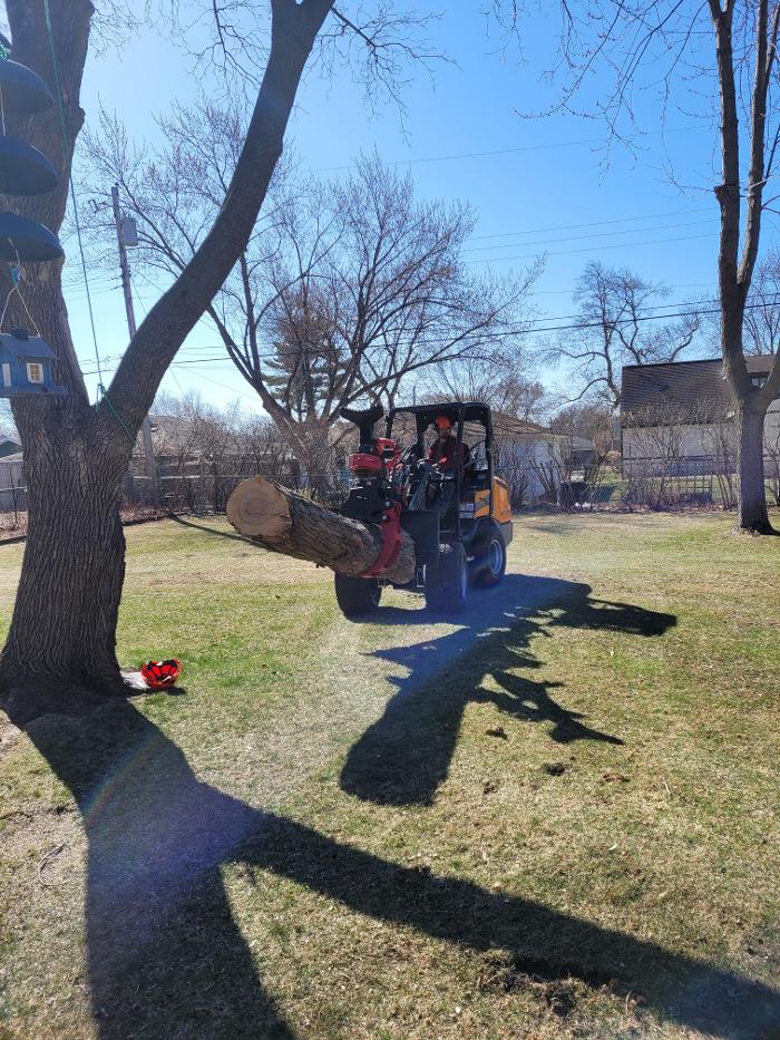 H&M Tree Service LLC - Chanhassen, MN
