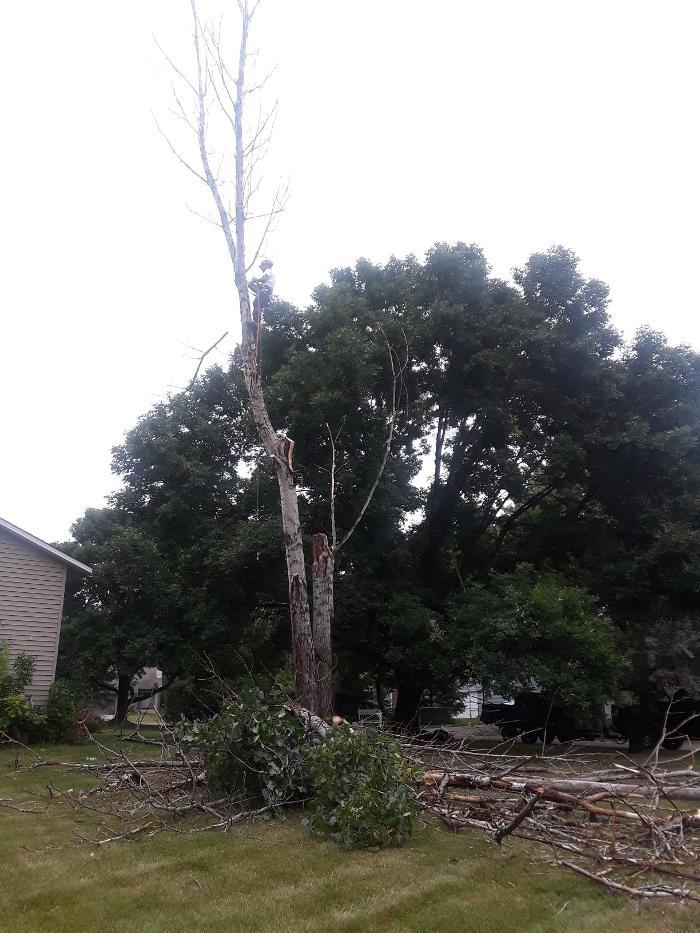 H&M Tree Service LLC - Chanhassen, MN