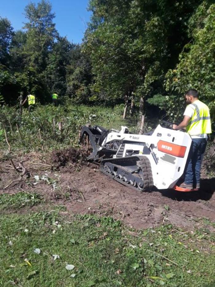 H&M Tree Service LLC - Chanhassen, MN