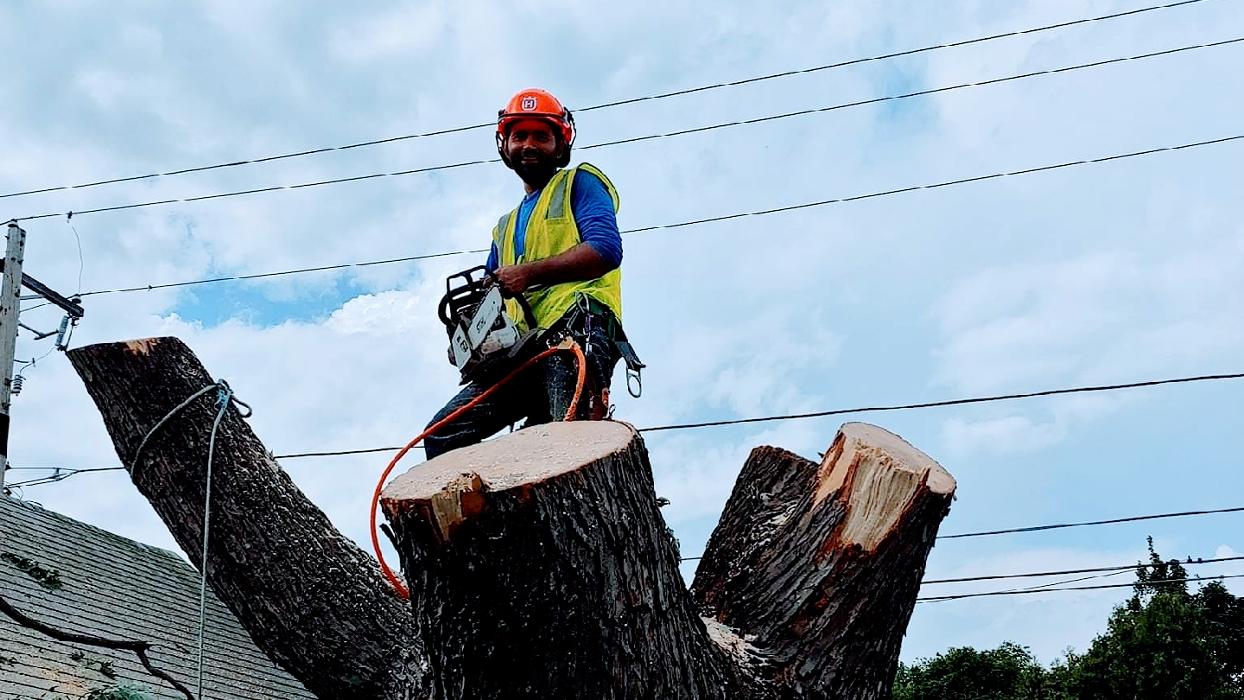 H&M Tree Service LLC - Chanhassen, MN
