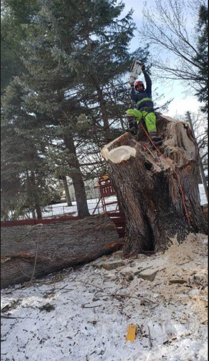 H&M Tree Service LLC - Chanhassen, MN