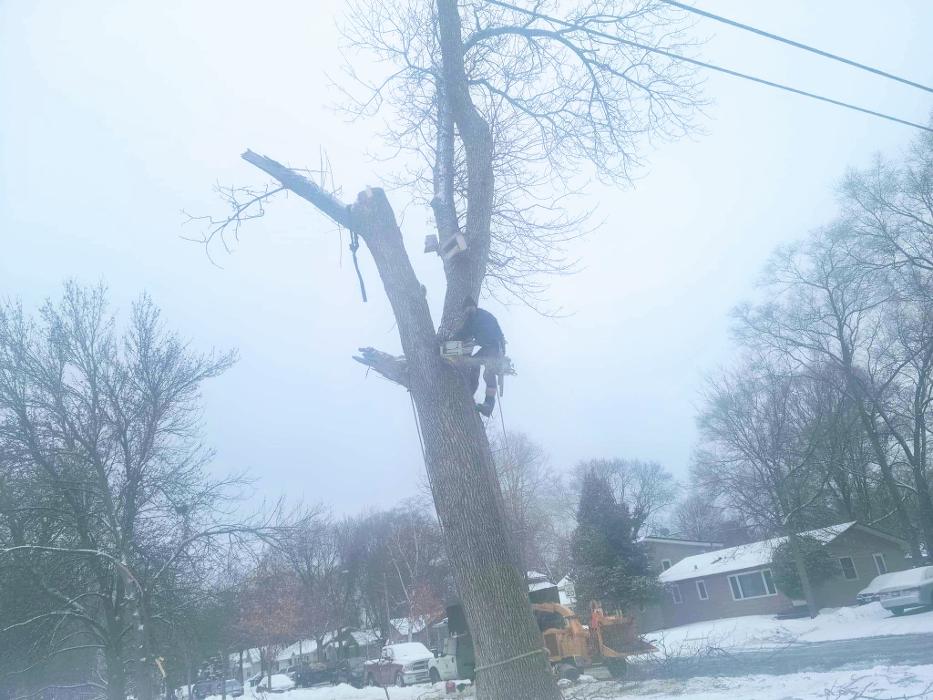 H&M Tree Service LLC - Chanhassen, MN