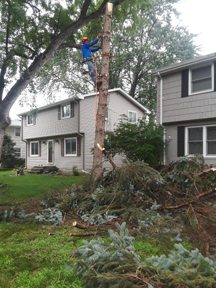 H&M Tree Service LLC - Chanhassen, MN