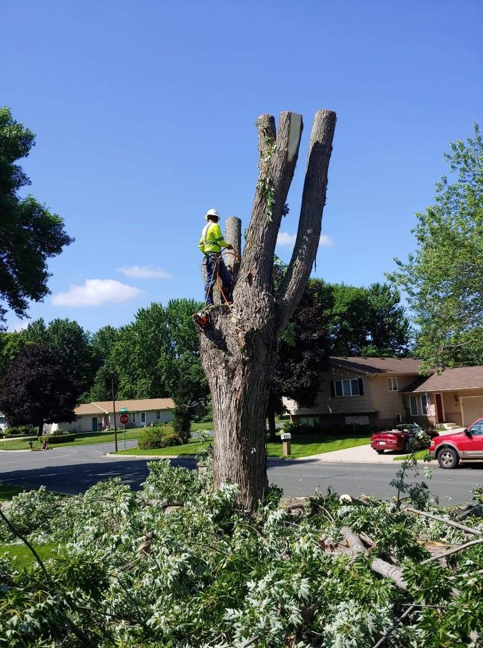 H&M Tree Service LLC - Chanhassen, MN