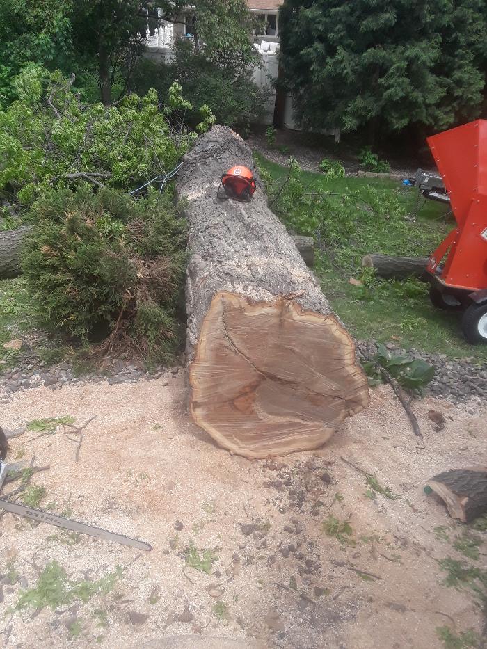 H&M Tree Service LLC - Chanhassen, MN