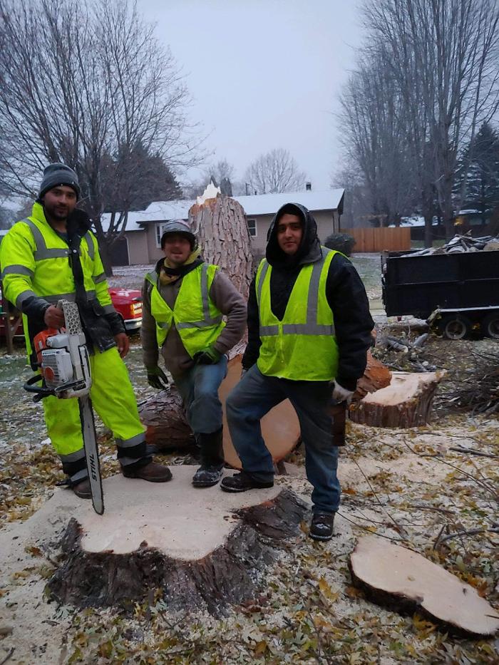H&M Tree Service LLC - Chanhassen, MN