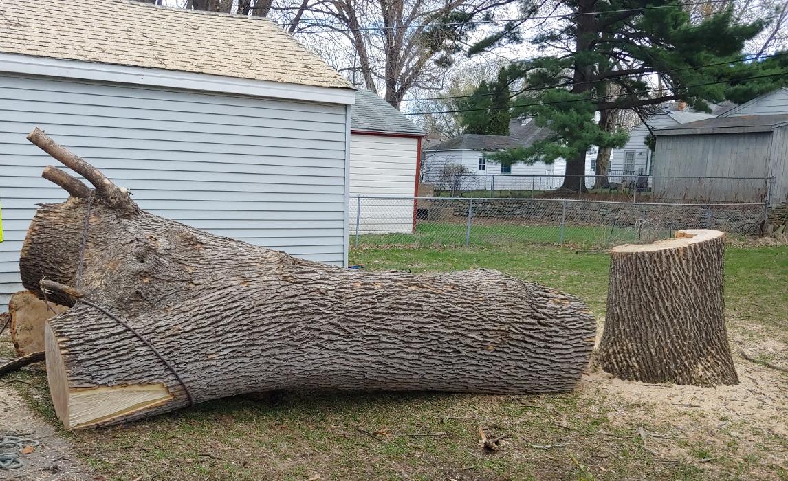 H&M Tree Service LLC - Chanhassen, MN