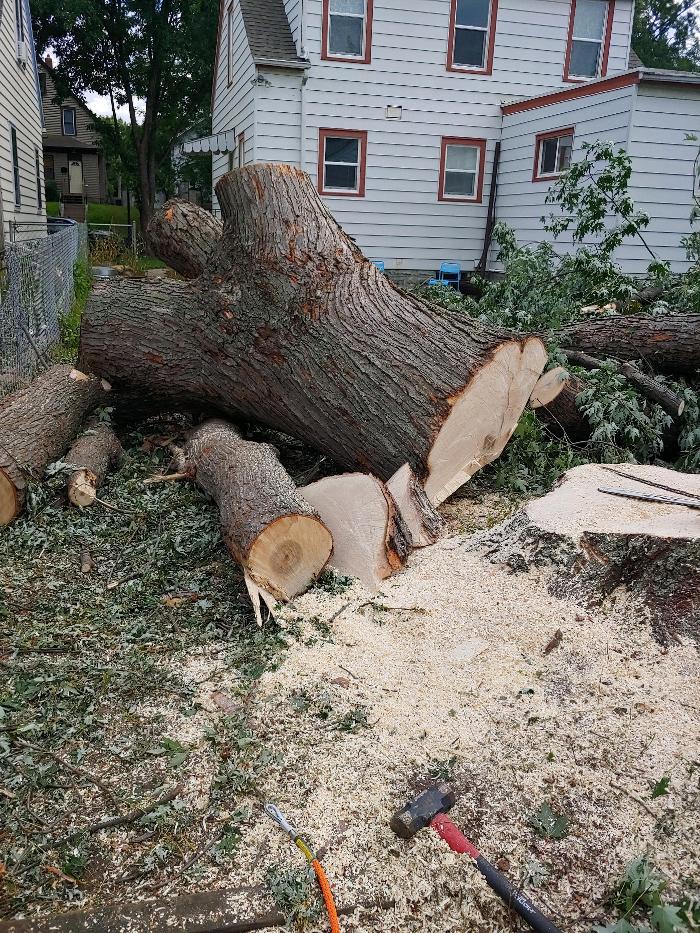 H&M Tree Service LLC - Chanhassen, MN