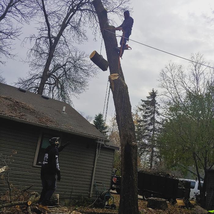 H&M Tree Service LLC - Chanhassen, MN