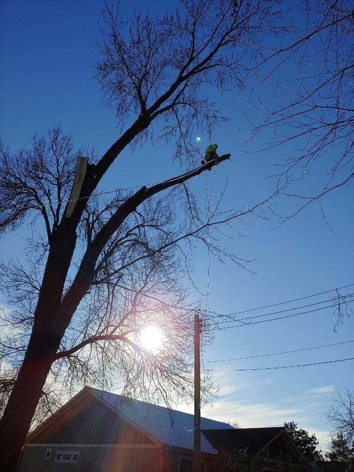 H&M Tree Service LLC - Chanhassen, MN