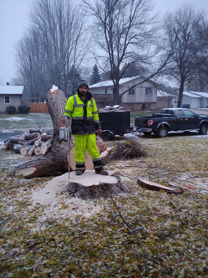 H&M Tree Service LLC - Chanhassen, MN