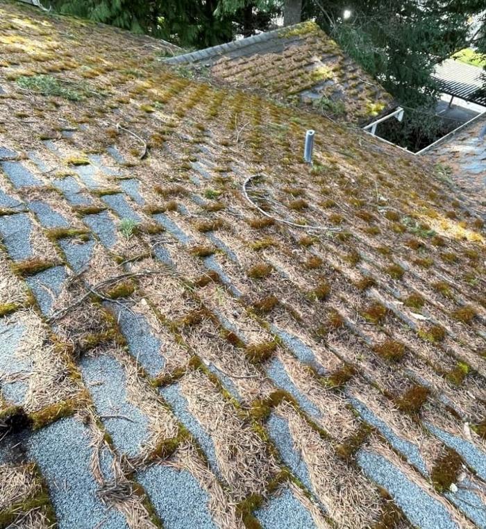 Extreme Exterior Solutions, LLC - Tacoma, WA