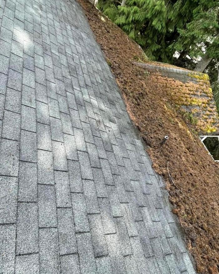 Extreme Exterior Solutions, LLC - Tacoma, WA