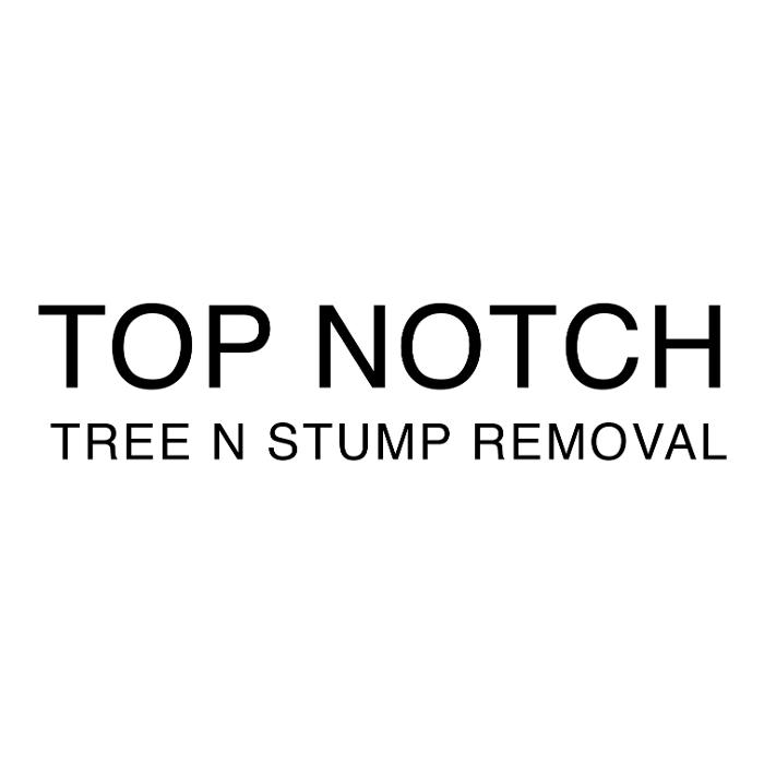 Top Notch Tree n Stump Removal - High Point, NC