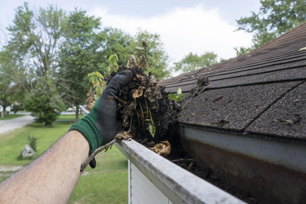 Proferred Handyman Services Inc - Chandler, IN