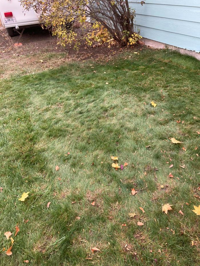 Grass Bandits Lawn Maintenance and Snow Removal - Billings, MT