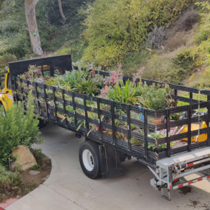 Man With The Van - Canyon Country, CA