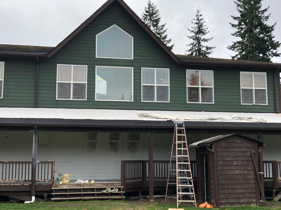 Coastal Painting - Shelton, WA