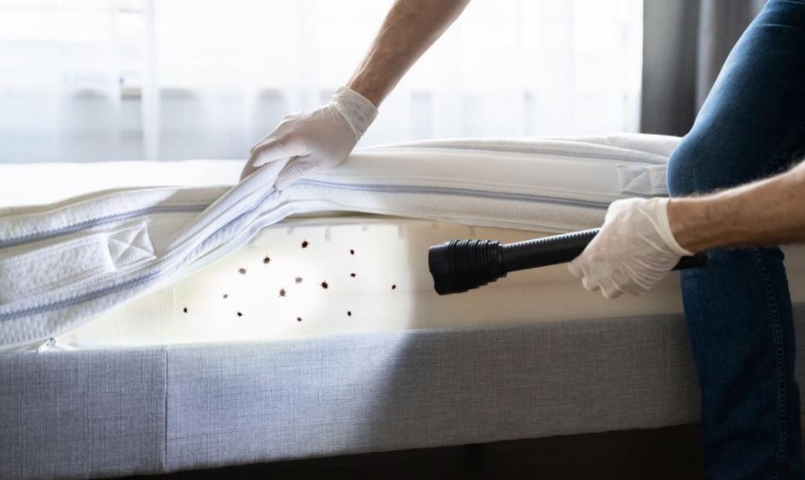 One Way Pest Exterminators - La Mirada, CA