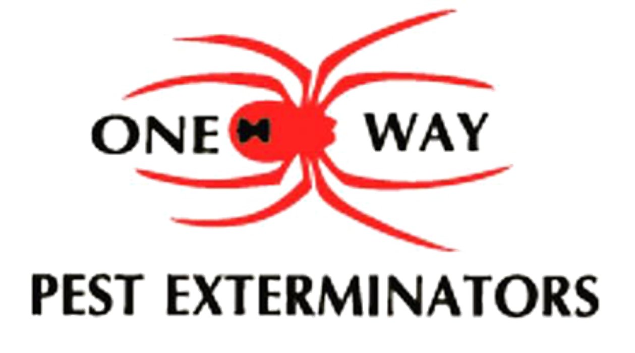 One Way Pest Exterminators - La Mirada, CA