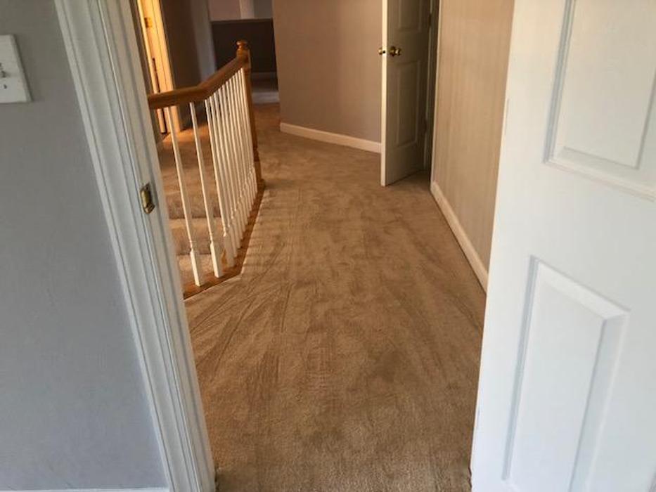 1 in ALL General Contractor - Virginia Beach, VA