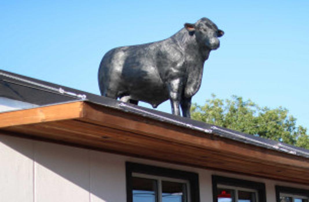 Circle H Meat Market & Mercantile - Abilene, TX