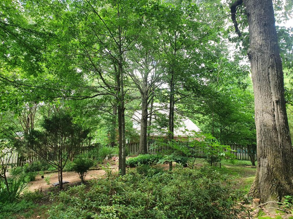 Hart Exterior Services, LLC - Hernando, MS