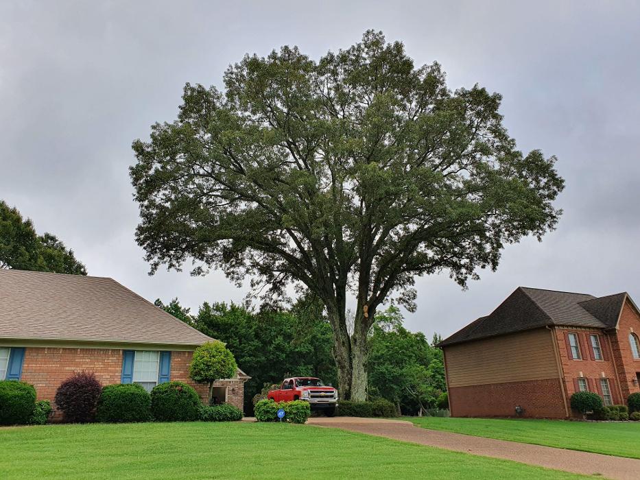 Hart Exterior Services, LLC - Hernando, MS